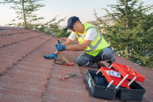 Best Roof Gutter Cleaning  in Ardmore, AL