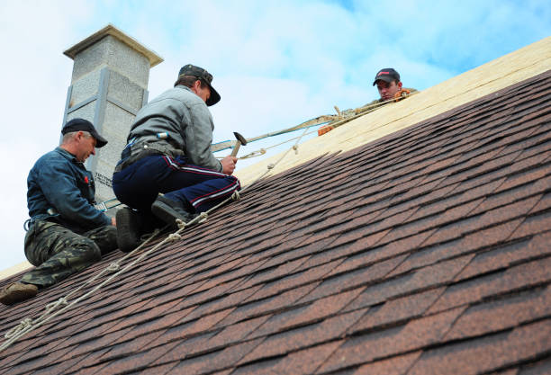 Quick and Trustworthy Emergency Roof Repair Services in Ardmore, AL